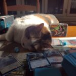 Stella-Playing-Magic-The-Gathering