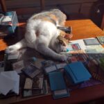 Stella-Stretching-On-Magic-The-Gathering